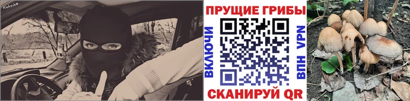 Псилоцибиновые грибы Psilocybine cubensis  Мостовской 